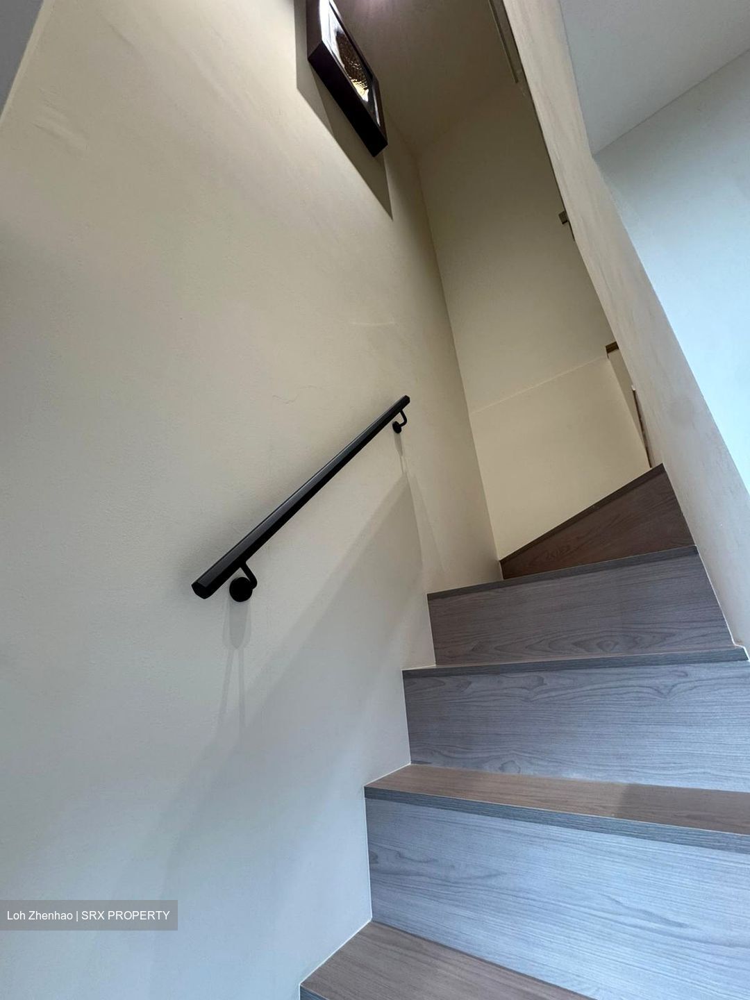 Leedon Green (D10), Condominium #526583521